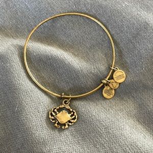 Alex and Ani Bracelet